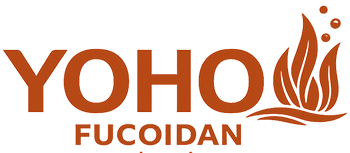 Yoho Fucoidan Nhật Bản