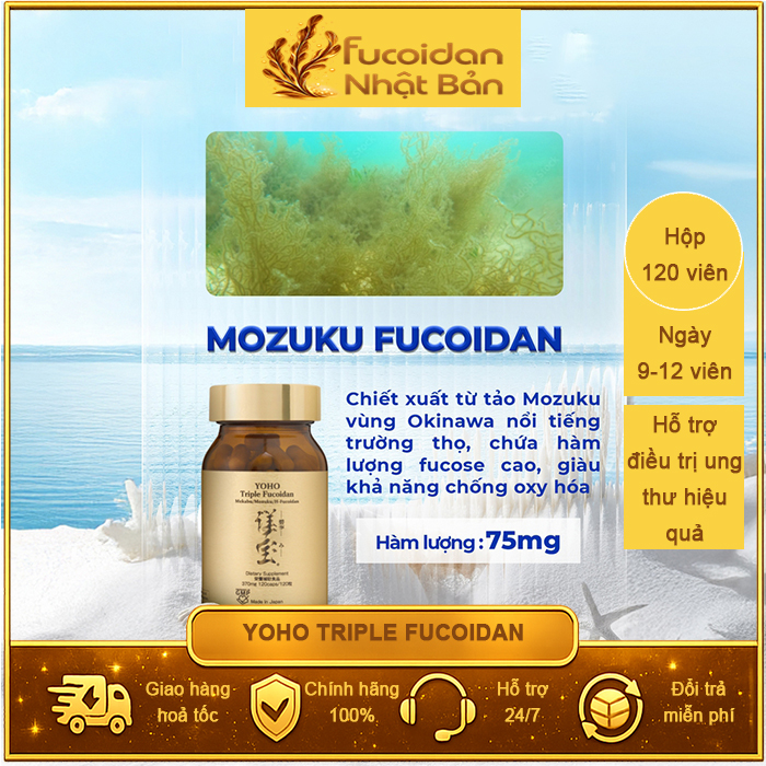 Yoho-Triple-Fucoidan-Hop-120vien-FuNB-1