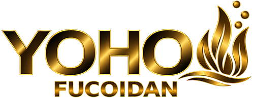 Yoho Fucoidan Nhật Bản